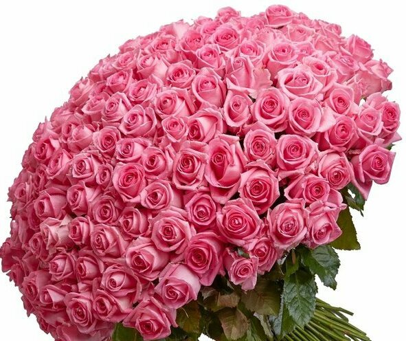 Букет Море Роз