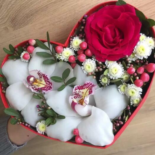 &nbsp; &nbsp; Букет&nbsp; Грация&nbsp; &nbsp; &nbsp; &nbsp; &nbsp; &nbsp; &nbsp;<span style="font-style: italic;"></span>