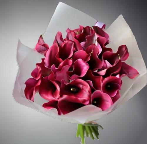 &nbsp; &nbsp; &nbsp; &nbsp; Букет Алые&nbsp; &nbsp; &nbsp; &nbsp; &nbsp; &nbsp; &nbsp; &nbsp; &nbsp; &nbsp;Паруса&nbsp; &nbsp; &nbsp; &nbsp; &nbsp;<span style="font-style: italic;"></span>