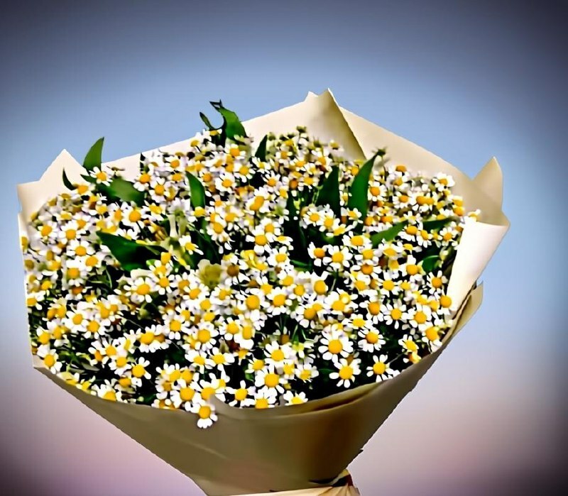Букет Ромашкина Мечта<span style="font-style: italic;"></span>