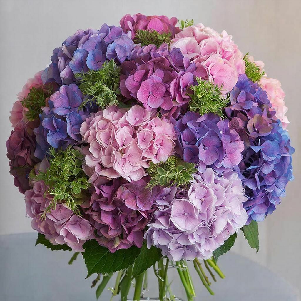 Букет Для Котёнка