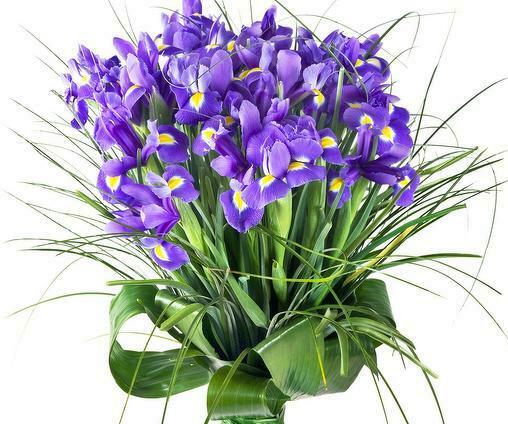 Букет Фиолетовый Бриз 